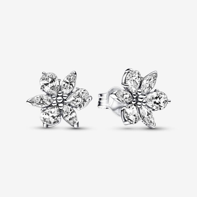 Clous d'Oreilles Pandora Sparkling Herbarium Cluster | UVX-69118617