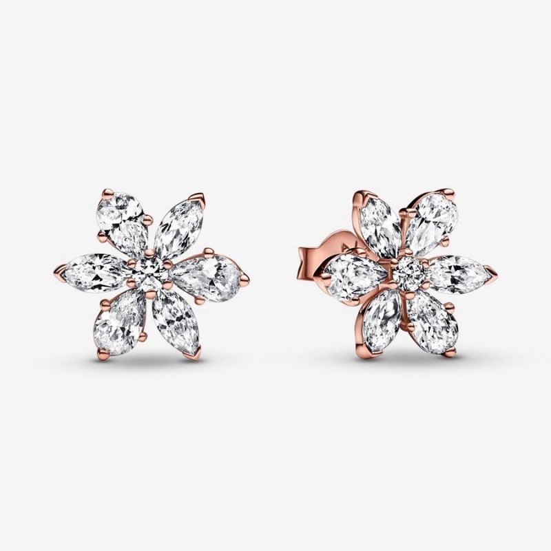 Clous d'Oreilles Pandora Sparkling Herbarium Cluster | NSB-70195830