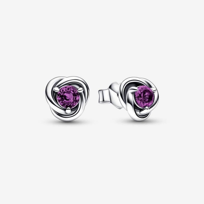 Clous d'Oreilles Pandora February Eternity Circle Violette | FOH-90240059