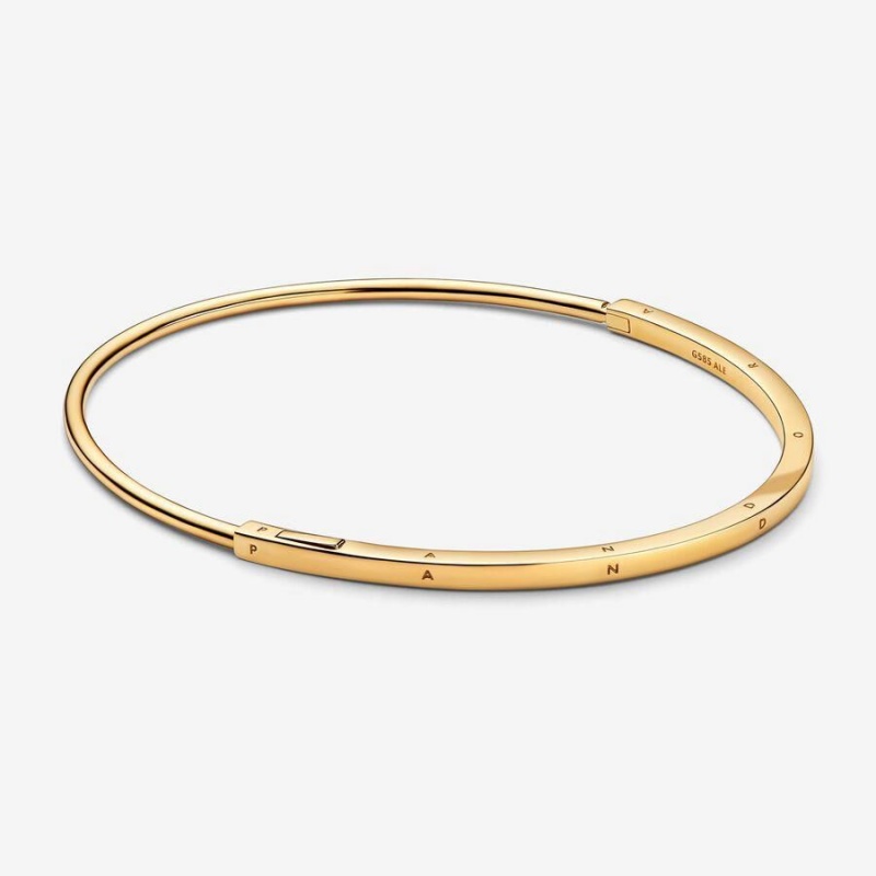 Bracelet Jonc Pandora Signature I-D | QSQ-62909077