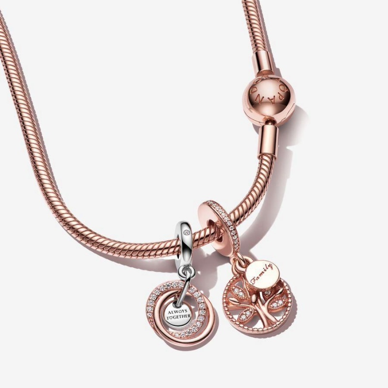 Collier avec Pendentif Pandora Family Circle Rose | TNH-30245257